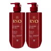함빛 려 함빛 극손상 앤 영양 컨디셔너 592ml x2 Gentle Damaged Hair & Nutrition Conditioner 592ml x2 [Single]