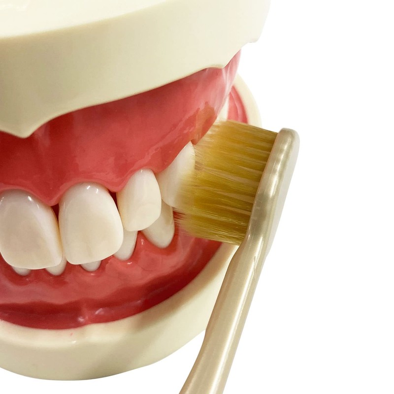 The Premium Care 8 Row Regular Regular