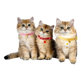 Set 3 Collares P/gato, Cascabel Y Dije Acero Estilo Japones