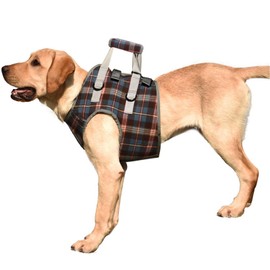 ROZKITCH Dog Lift Harness, Grid Pet Chest Support Aid Veterinarian Approved Sling for Old K9 Help With Poor Stability, Front Legs Disabled Joint Injury Elderly Arthritis ACL Rehabilitation Rehab