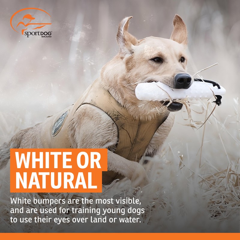 SportDOG White Plastic Dummies - Durable Soft Plastic Retriever &