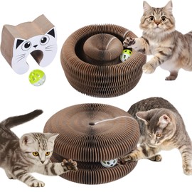 Qoosea Magische Orgel Katzenkratzbrett katzenspielzeug, Interaktive Kitten Kratzbrett Cat Toys, Magic Organ Cat Scratching Board mit Glockenball für Innen, Intelligenz Kratzpappe Katzen Spielzeug Set