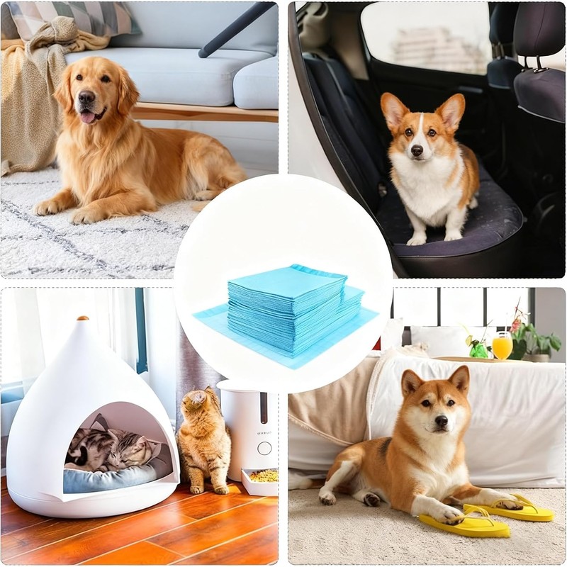 Tapete Entrenador para Perro, 50 Piezas de 60 x 60