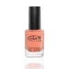 Color Club Nail Lacquer East Austin # 1002 by Color Club