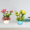 2pcs Artificial Aquarium Plants Silicone Flowers Reusable Resin Pots Fish