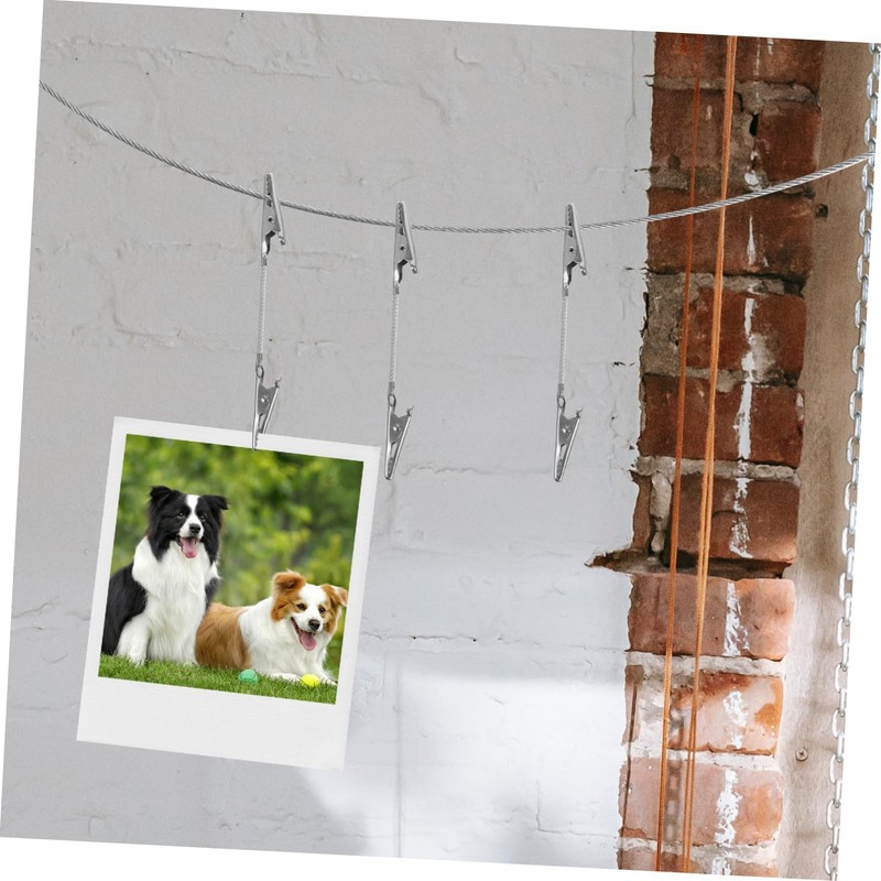Zerodeko 1 Set Alligator Photo Clips with Hanging Wire for