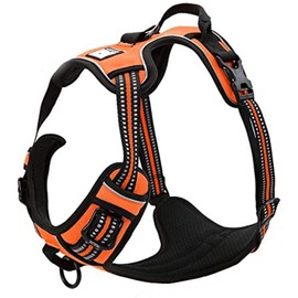 TrueLove Dog Harness TLH5651 No-pull Reflective Stitching Ensure Night Visibility, Outdoor Adventure Big Dog Harness Perfect Match Puppy Vest (Orange,XL)