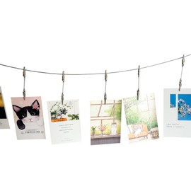 TFu Wall Hanging Photo Display, DIY Picture Photo Frame String with 12 Clips for Hanging Photos Notes and Artworks (Adjustable Alligatory Clip)