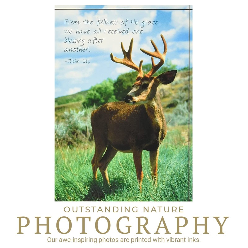 Divinity Boutique Assorted Birthday Cards for Him - 4 Design