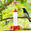 Hummingbird Feeder with Ant Moat - Clear Wild Bird Feeders