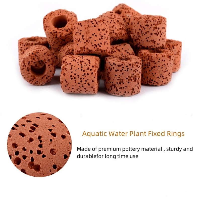 20 Pcs Aquatic Water Plant Fixed Rings, Aquarium Anchors Fish