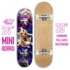 24 inch Rude Boyz Mini Cruiser Skateboard - Aluminium Trucks