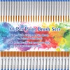 80 Piece Paint Brush Set, Nylon Acrylic with 60 Pieces
