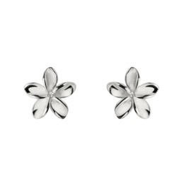 Dainty Flower Stud Earrings for Women 925 Sterling Silver Tiny Plumeria Earrings for Sensitive Ears Jewelry (Silver)