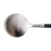 Cutipol GOA GO11 Teaspoon, Black, 4.7 inches (12 cm)