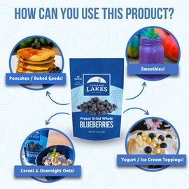 Thousand Lakes Freeze Dried Fruit - Blueberries 2-pack 1.2 ounces (2.4 ounces total) | No Sugar Added | 100% Whole Blueberries