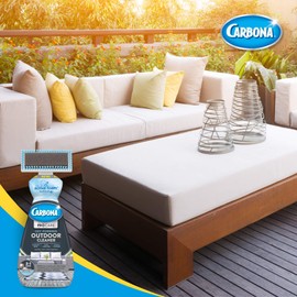 Carbona Carbona Pro Care Oxy Powered Outdoor Cleaner with Active Foam Technology | 22 Fl Oz, 2 Pack