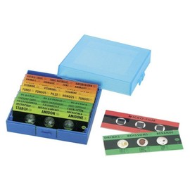 Betzold 85797 Ready-to-Use Preparations with Sorting Box - Accessories Microscope Biology