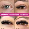 Eyesy Lash 500 Promade Fans - 5D 0.05 Size 12mm