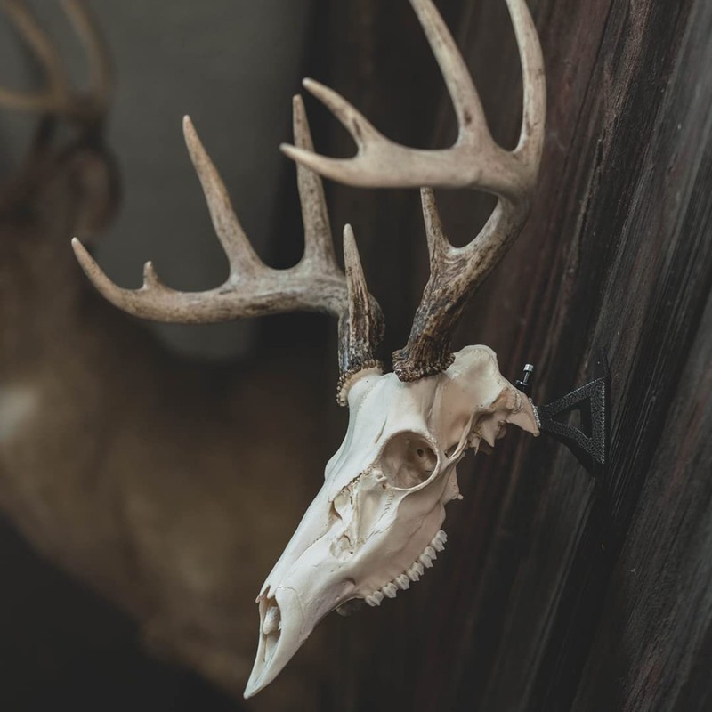 Wicked North Hang Up European Adjustable Mounting Bracket