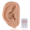 Modelo de oreja de acupuntura, réplica de oreja artificial derecha