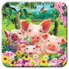 3D LiveLife Cork Coaster - Pig Pen from Deluxebase. Drinks