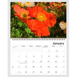 2026 Spiral-bound Wall Calendar (Flowers) - 12 Months Desktop/Wall Calendar/Planner