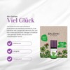 Baldini Mini Fragrance Set Good Luck Pack of 10