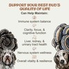 MycoDog Turkey Tail Mushroom Supplement for Dogs - Immune &