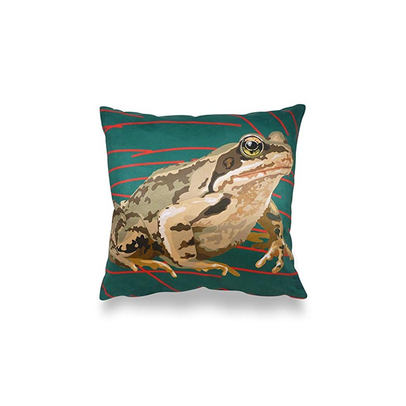Leslie Gerry Frog Cushion Cover