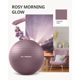 Trideer Yoga Ball for Pregnancy Office Ball Chair– Exercise Ball for Birthing, Labor, Stretching & Core Workout – Anti-Burst, Slip-Resistant for Home Gym, Flexible Seating & Physical Therapy