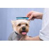 Pets First 2 Pack Dog Comb Small & Large PET