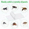 40 Pack Replacement Fly Glue Boards Sticky Cards Mosquito Trap
