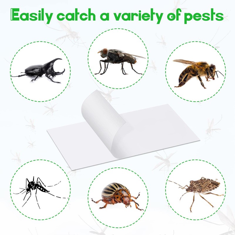 40 Pack Replacement Fly Glue Boards Sticky Cards Mosquito Trap