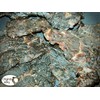 Moses Family Jerky, BBQ Beef Jerky, 2.5 Ounce, Bite Sized