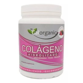 Galorganic Colágeno Hidrolizado Ácido H Y Biotina 500gr Sfn