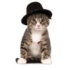 Rubies Costume Co Top Hat for Your Pet, Medium/Large