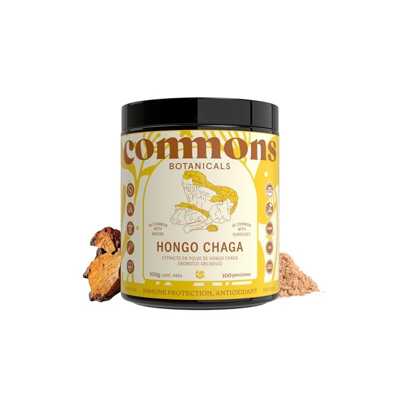 COMMONS Hongos Adaptógenos Hongo Chaga Extracto Puro en Polvo