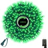 LAMPHOME 66ft St Patrick's Day Decorations String Lights,200 LED Green