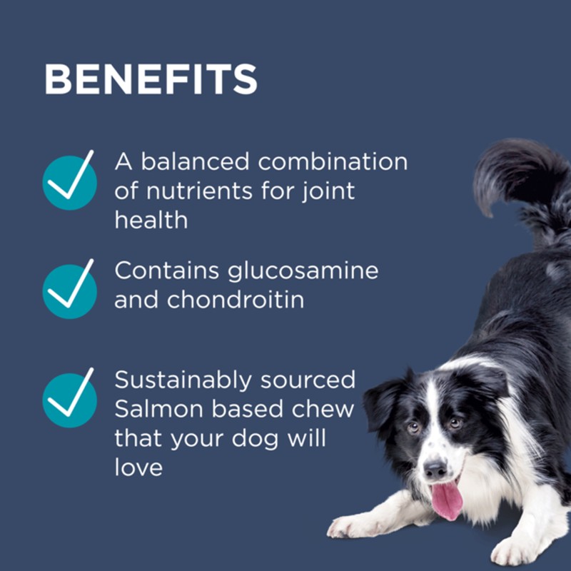 Blackmores PAW Osteocare Joint Protect Chews 300g