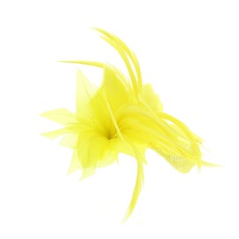 Zac's Alter Ego Colourful Fascinator with Feather on Clip & Brooch Pin