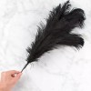 32" Tall Black Feather Plume Decorative Craft Spray