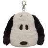 Nakajima Corporation Snoopy Mocha Face Pass Case 201898-24 H 12.5