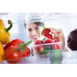 HT1 Smart Temperature Sensor and Humidity Sensor - Bluetooth Thermometer and Hygrometer with App Monitoring - Indoor/Outdoor Temperature and Humidity Monitor for RV, Basement, Fridge & More (1 Pack)