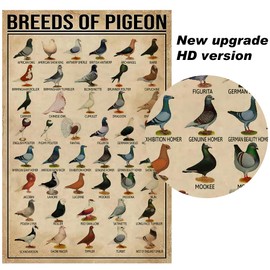 PAIION Breeds of Pigeon Metal Signs Pigeon Education Encyclopedia Knowledge Posters Wall Decor Farm Decor Home Decor Vintage Printinges 8x12 Inch