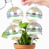 13 oz Up 2 Weeks Large Plant Watering Globes -