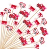 100 Counts Heart Toothpicks Valentine's Day Cocktail Picks, Bamboo Toothpicks