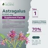 Astragalus Capsules 5,000 mg - 250 Capsules, 8+ Month Supply