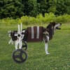 Dog Wheelchair for Back Legs,Light Weight Dog&Cat&Pets Wheelchair Cart with