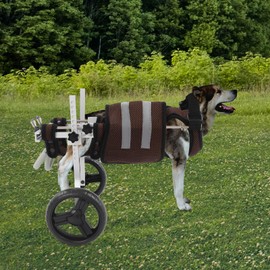 Dog Wheelchair for Back Legs,Light Weight Dog&Cat&Pets Wheelchair Cart with Disabled Hind Legs Walking,Adjustable Doggy Wheelchair Cart with Wheels for Back Legs (Grey)